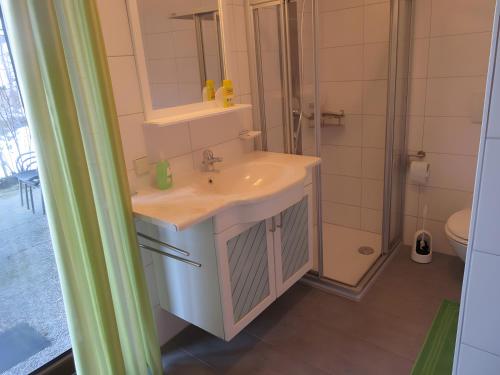 a bathroom with a sink and a shower at Ferienwohnung Kreuzbühl in Albstadt