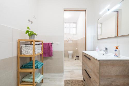 a bathroom with a sink and a toilet at Casa vacanze Elifra in San Giovanni Suergiu