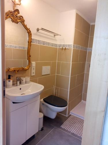 a bathroom with a toilet and a sink at Kinderfreundlich Am Dorflädchen in Blankenheim