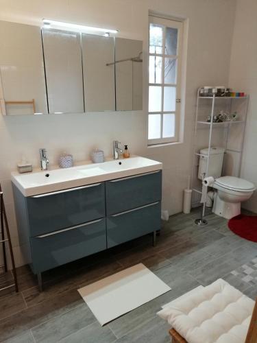 ein Badezimmer mit einem blauen Waschbecken und einer Toilette in der Unterkunft Les Alliots in Coullons