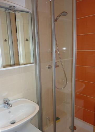 a bathroom with a shower and a sink at Ferienwohnung Hasi 2 am Kurpark in Bad Frankenhausen