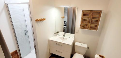 a bathroom with a toilet and a sink and a mirror at Le studio d'Apoline avec piscine in La Tranche-sur-Mer