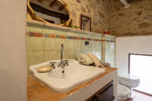 a bathroom with a sink and a toilet at Camera con Vista in Anghiari