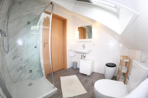 a bathroom with a shower and a toilet and a sink at Ferienhaus Da Vinci in Kirchheim