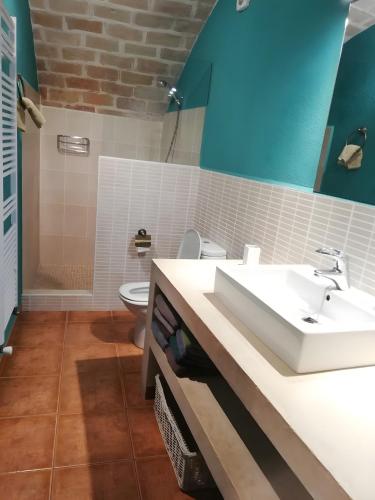 a bathroom with a sink and a toilet at Mas Pareta - La Parra in Fonolleras
