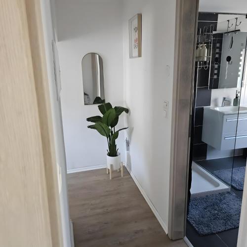 a hallway with a sink and a potted plant at Sauerland Apartments Willingen in Willingen