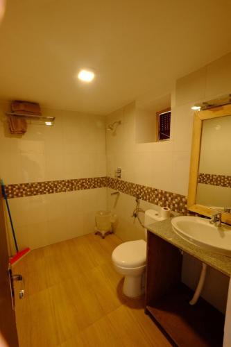 a bathroom with a toilet and a sink and a mirror at Agyaat Vaas in Bāgi