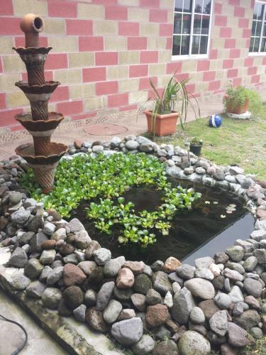 a pond with a fountain and plants in a yard at Hospedaje Rampolla's in Volcán