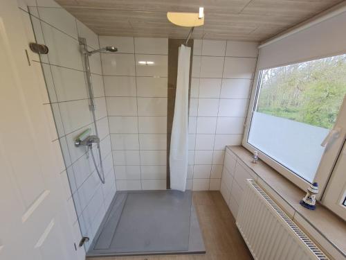a shower with a glass door and a window in a bathroom at Ferienwohnung Küstennest Vitzdorf in Fehmarn
