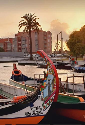 Aveiro Le petit venise du portugal