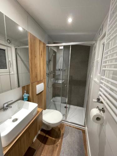 a bathroom with a sink and a toilet and a shower at Ferienhaus Concordia in Friedrichsaue