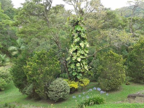 Taman di luar Pousada Recanto Águas Vivas