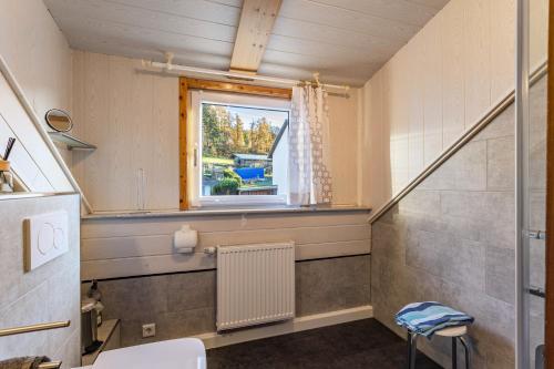 a bathroom with a toilet and a window at Ferienwohnung Desmecke in Olsberg