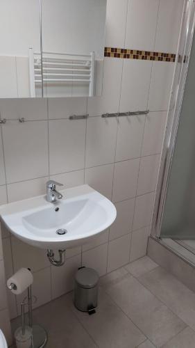 a bathroom with a white sink and a mirror at Das Landhaus Wohnung 1 in Kirch Mulsow