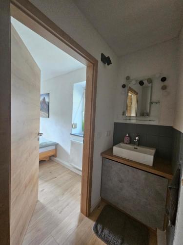 a bathroom with a sink and a mirror at Auszeit zwischen Fellnasen in Bischofsgrün