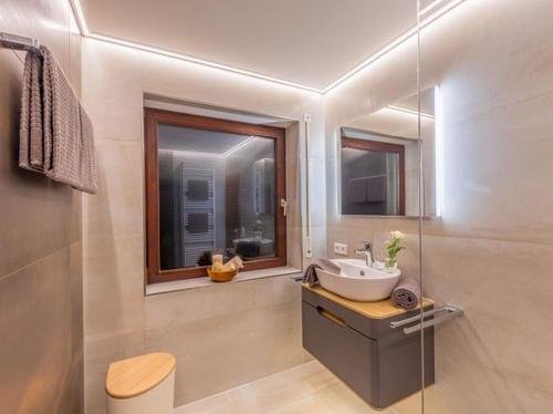 a bathroom with a sink and a mirror at Comfort Apartment Buchhorn in Friedrichshafen
