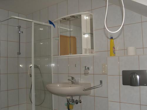a bathroom with a sink and a shower with a mirror at Ferienwohnung Karin in Eltmann