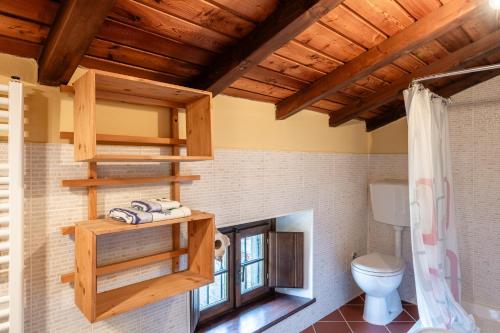a bathroom with a toilet and a wooden ceiling at Casale di Polly in Garfagnana in Minucciano