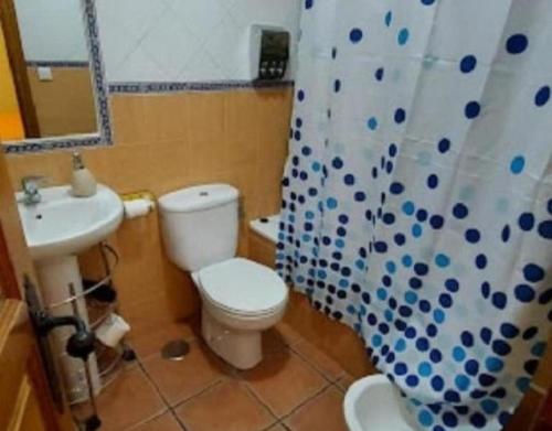 a bathroom with a toilet and a sink and a shower curtain at Mansió De La Plata in Peñacaballera