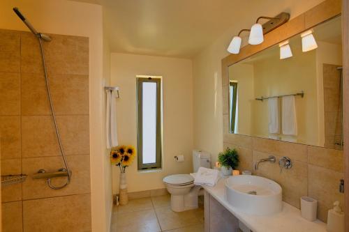 a bathroom with a sink and a toilet and a mirror at Villa Ippokampos Ideales Resort in Kefallonia