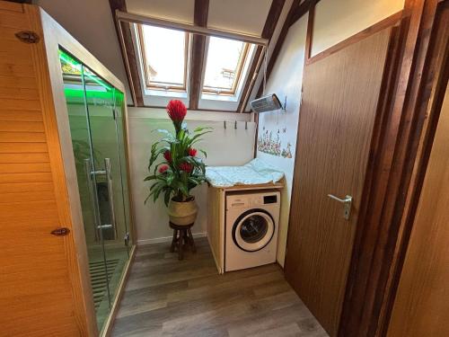 a small bathroom with a washing machine and a plant at Ferienhaus Rotkäppchen in Frankenau