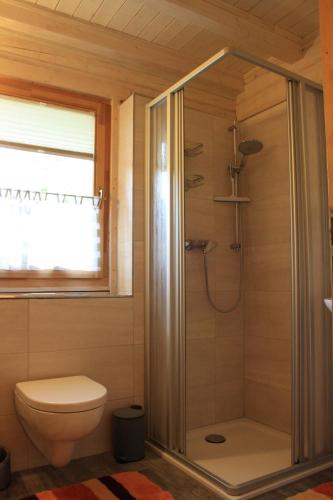 a bathroom with a shower with a toilet and a window at Ferienhaus Zuehlke in Groß Nemerow