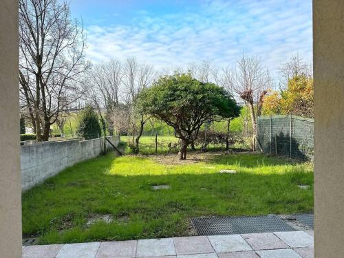 a yard with a tree and a fence at a due passi da Conegliano in Capo di Sotto