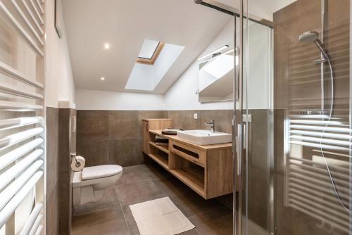 a bathroom with a toilet and a sink and a shower at Balbeinhof Apt Gams in Luson