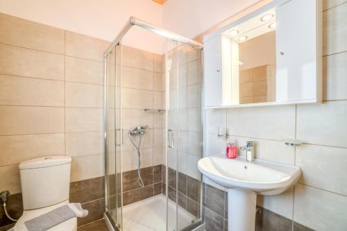 a bathroom with a shower and a sink and a toilet at Captain Spiros Picola in Gaios
