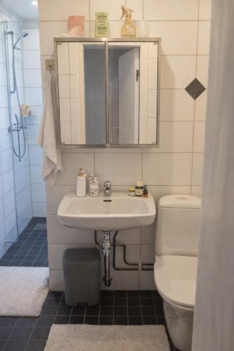 a bathroom with a sink and a toilet and a mirror at Maria Isabelles boende nr 3 in Fjugesta