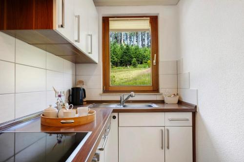 a kitchen with a sink and a window at Ferienwohnung Ringwald in Niederbach