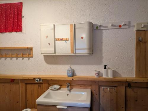 a bathroom with a sink and a mirror at Baita Nido tra i Monti in Daone