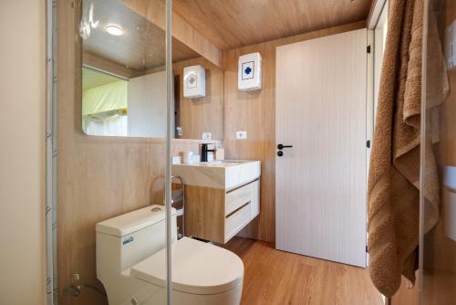 a small bathroom with a toilet and a sink at Glamping Ripa Garden Montestella in Salerno