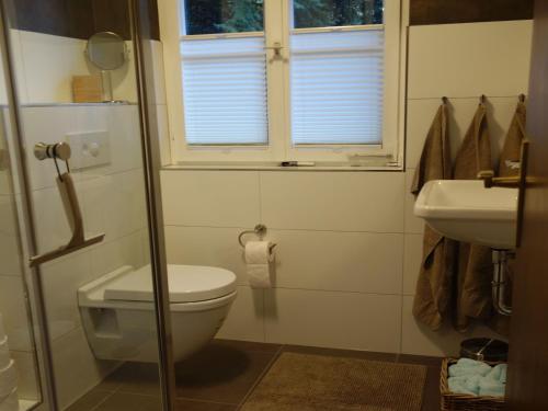a bathroom with a toilet and a sink and a window at Ferienhaus Sara in Seebach