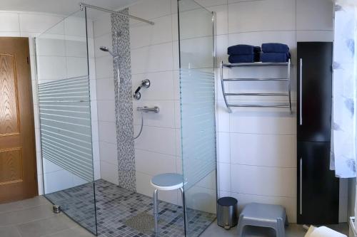 a glass shower with a stool in a bathroom at Haus Münsterland in Nordwalde
