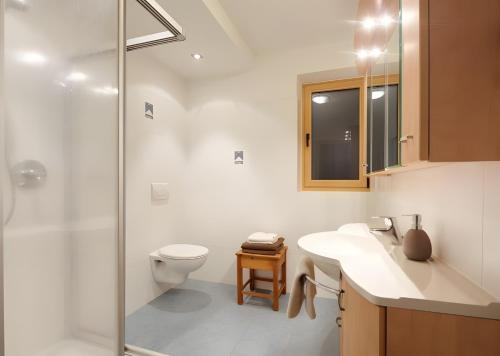 a bathroom with a shower and a toilet and a sink at Rafaser - Apartment Rustika in Feldthurns