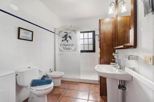 a white bathroom with a toilet and a sink at Casa El Naranjo Viejo in Tijarafe
