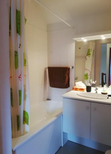 a bathroom with a sink and a tub and a mirror at Duplex Près Du Lac De La Raviège in La Salvetat