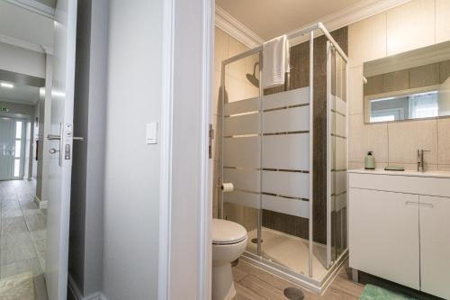 a bathroom with a toilet and a glass shower at Oásis Fonte Grande in Santo António