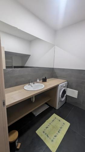 a bathroom with a sink and a washing machine at Casa Nicla in Colico