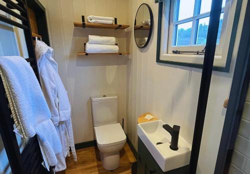 a bathroom with a toilet and a sink and a window at Melbury Hut in Shaftesbury