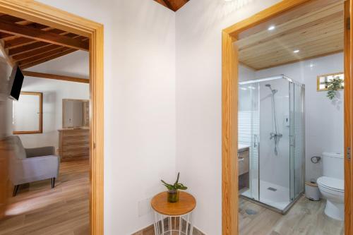 a bathroom with a glass shower and a toilet at Vista Valle in Mogán