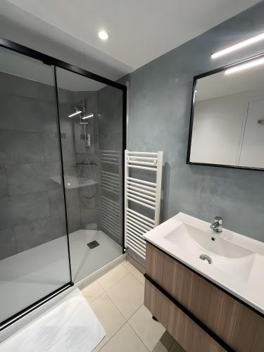 a bathroom with a shower and a sink and a mirror at A La Cour Basse in Peltre