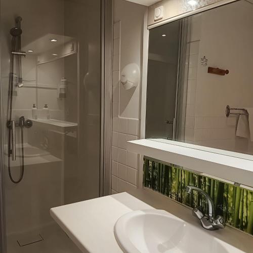 a bathroom with a sink and a shower and a mirror at Hotel Wilson Square in Toulouse