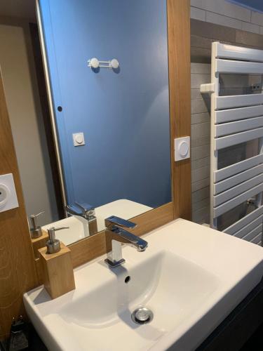 a bathroom with a white sink and a mirror at La Maison des Coeurs in Attignat-Oncin