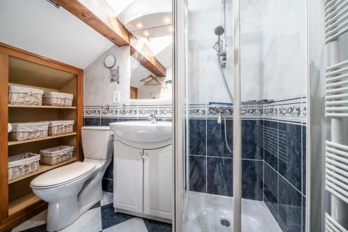 a bathroom with a shower and a toilet and a sink at Au Rêve Savoyard 6 - 4 personnes in Morillon