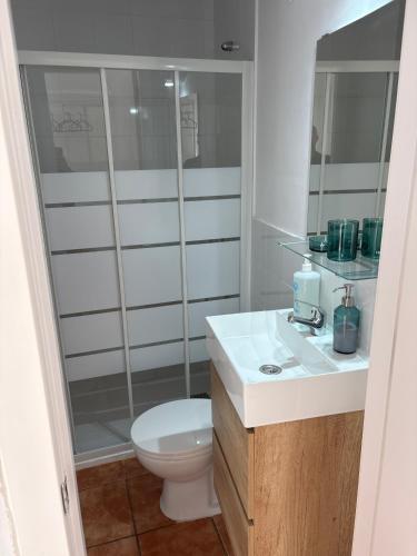 a bathroom with a toilet and a shower and a sink at Apartamento centro 1-B in Huelva