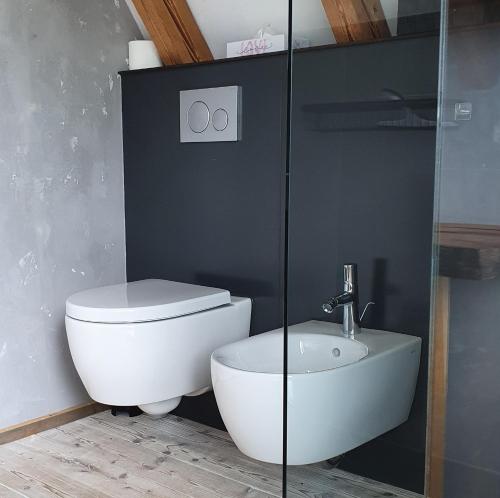 a bathroom with a white toilet and a sink at Alb - Lotte in Bitz