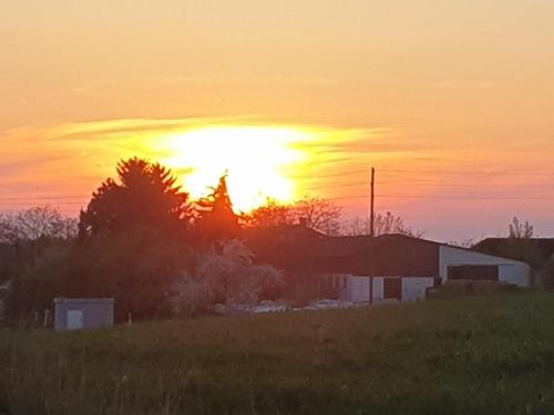 a sunset over a field with a barn and trees at Ferienwohnungen Karle in Künzelsau