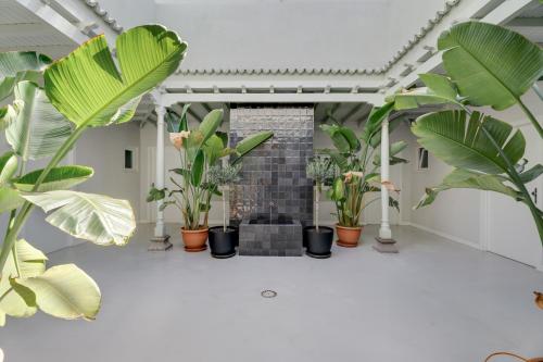 Foto The Comfort House 1